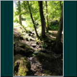 WhatsApp Image 2024-06-11 at 09.48.07(1).jpg